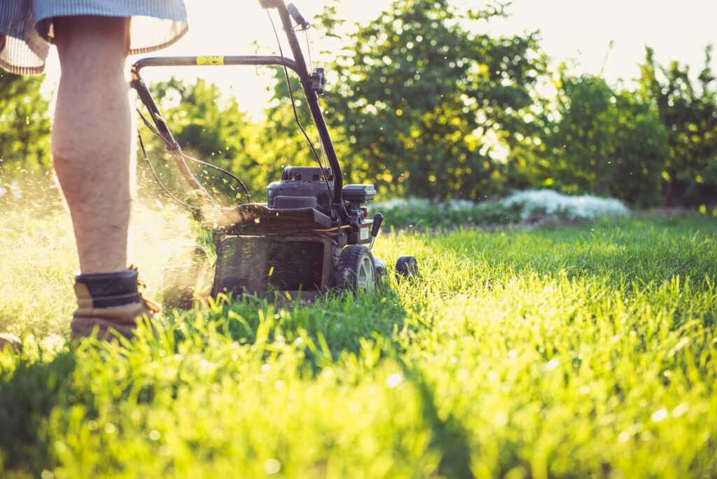 Man mowing a lawn with a push mower on a sunny day
